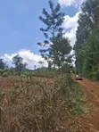 Sagana Prime 5 Acres Riverfront Land - 4