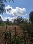 Sagana Prime 5 Acres Riverfront Land - 5