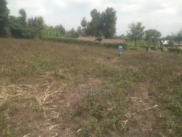 50x100 Plot for Sale in Mariguini, Nakuru - 1