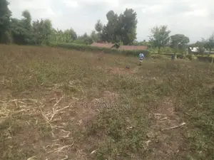 50x100 Plot for Sale in Mariguini, Nakuru