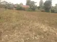 50x100 Plot for Sale in Mariguini, Nakuru - 2