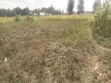 50x100 Plot for Sale in Mariguini, Nakuru - 4