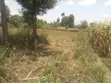 50x100 Plot for Sale in Mariguini, Nakuru - 5