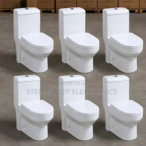 Sawa One Piece Dual Flush Toilet Seat