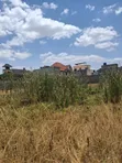 Kahawa Sukari Prime 100x100 Fully Serviced Plot - 2
