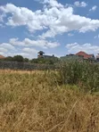 Kahawa Sukari Prime 100x100 Fully Serviced Plot - 4