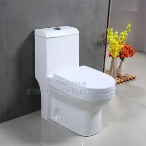 Sawa One Piece Dual Flush Toilet Seat
