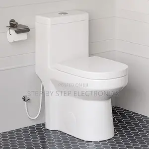 Sawa One Piece Dual Flush Toilet Seat