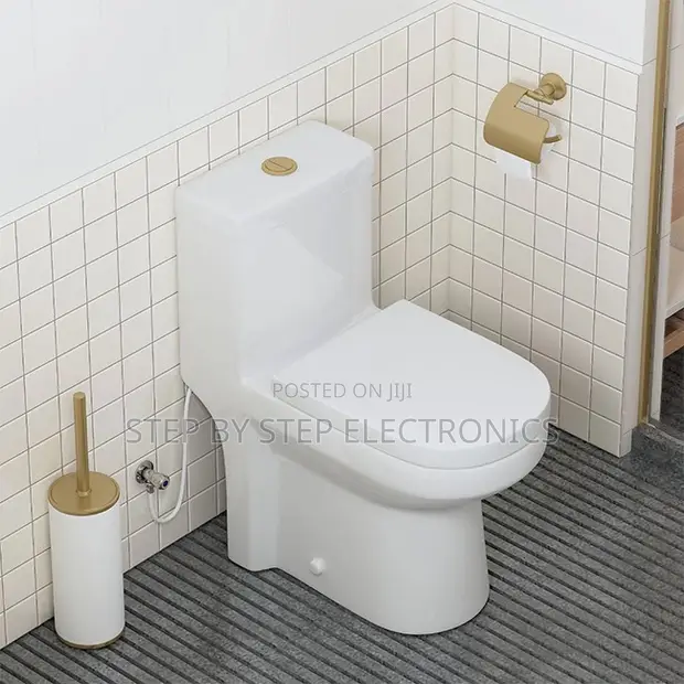 Sawa One Piece Dual Flush Toilet Seat - 1