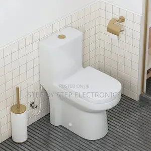 Sawa One Piece Dual Flush Toilet Seat