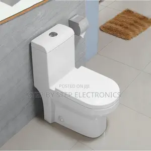 Sawa One Piece Dual Flush Toilet Seat