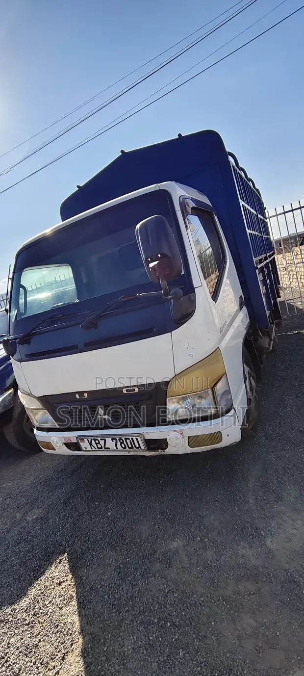 Mitsubishi Canter 2010 White - 1