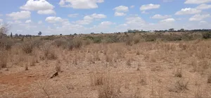 Eneo la Ekari 5 kwa Uuzaji Oloitoktok, Rongai