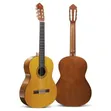 Yamaha C40 Classical Guitar - Brand New - 1