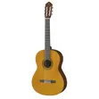 Yamaha C40 Classical Guitar - Brand New - 2