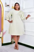 Reby Nude Plus Size Shift Dress/Maternity - 2