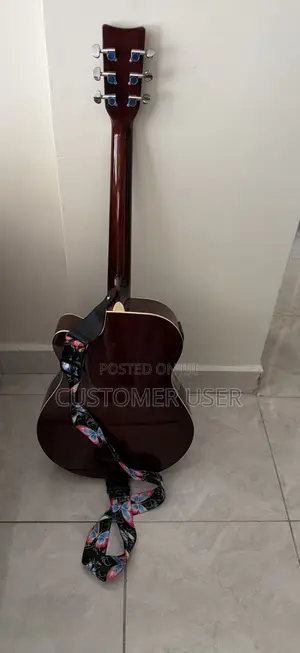 Ibanez Acoustic-Electric Guitar