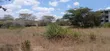 Eneo la 1/2 Acre kwa Makazi Linauzwa Oloolua, Maasai Lodge - 4