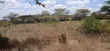 Eneo la 1/2 Acre kwa Makazi Linauzwa Oloolua, Maasai Lodge - 5