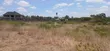 Vipande 100x100ft kwa Mauzo Oloitoktok, Maasai Lodge - 5