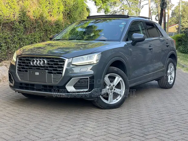 Audi Q2 2019 Kijivu - 1