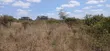 Kitalu Bora cha 1/4 Eka kwa Uuzaji Oloolua, Rongai - 2