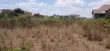 Kitalu Bora cha 1/4 Eka kwa Uuzaji Oloolua, Rongai - 4