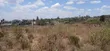 100x100ft Prime Plots for Sale in Ongata Rongai, Maasai Lodge - 5