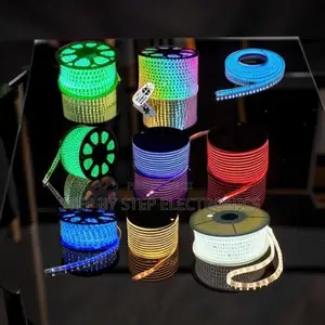 Remote Control Colorful LED Snake Lights Strip