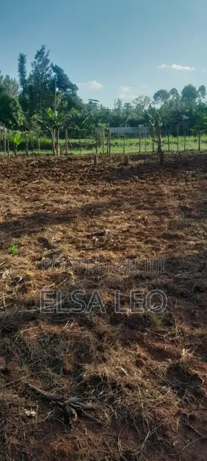 Kitalu Bora cha 100x100ft kwa Uuzaji - Mosocho, Kisii