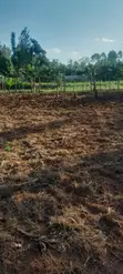 Kitalu Bora cha 100x100ft kwa Uuzaji - Mosocho, Kisii - 1