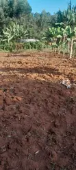 Kitalu Bora cha 100x100ft kwa Uuzaji - Mosocho, Kisii - 3