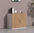 Kabati la Ofisi la Kuhifadhia - 2-Door Credenza - 2