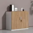 Kabati la Ofisi la Kuhifadhia - 2-Door Credenza - 3