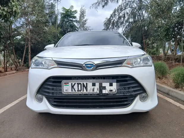 Toyota Axio Hybrid 2017 - 1