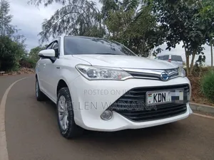 Toyota Axio Hybrid 2017