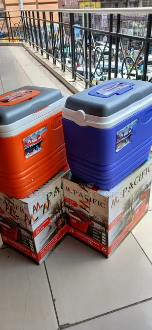 25L Cooler Box - Insulated Portable Ice Box
