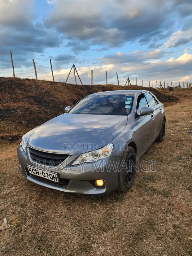 Toyota Mark X 2011 Kijivu - 1