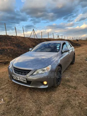 Toyota Mark X 2011 Kijivu