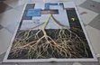 Carpet HD 5x8 - Miundo ya Kisasa - 2