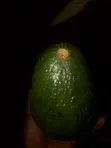 Fresh Avocados from the Farm - 2