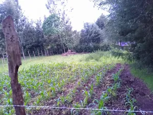 Plot of Land along Bomet Longisa Highway
