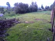Plot of Land along Bomet Longisa Highway - 4