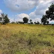 1 Acre Prime Land for Sale in Kambe Ribe - 1