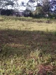 1 Acre Prime Land for Sale in Kambe Ribe - 4