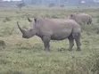 Muruga Safaris: Affordable Jeep Safaris in Kenya - 5