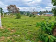 5 Acres Prime Land for Sale in Kambe Ribe - 2