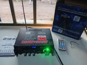 EVP Hi-Fi Stereo Audio Amplifier 300W+300W