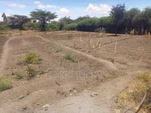 Vipande vya Ardhi kwa Ajili ya Makazi Wabera