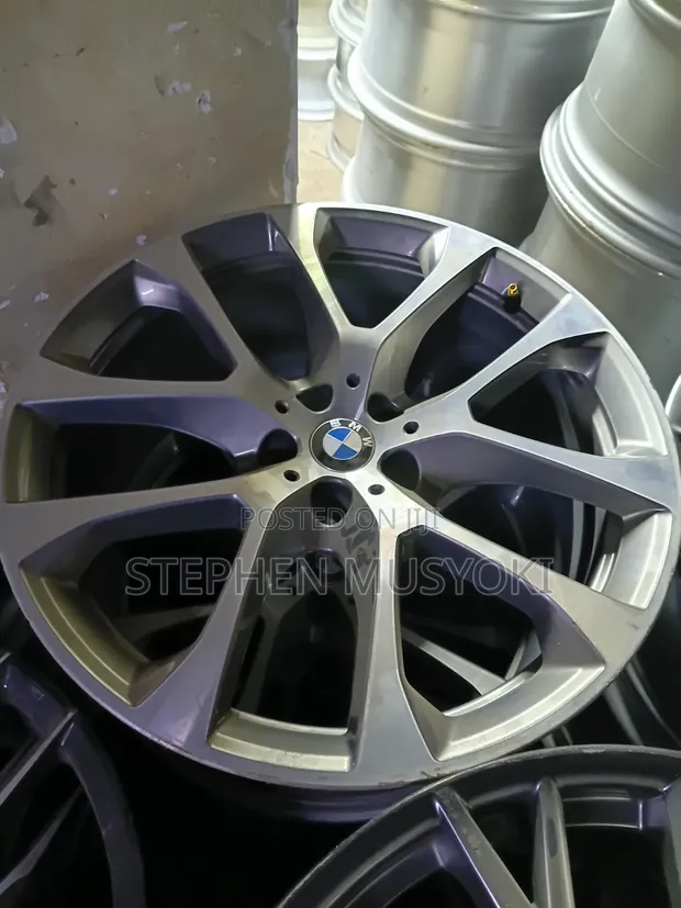 BMW 19 Inch Rims for X1, X3, X5, X5e70, X6, X7 - 1